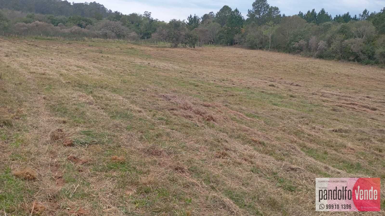 Lote/Terreno em Eldorado do Sul - Guaíba Country Club
