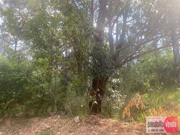 Lote/Terreno em Eldorado do Sul - Guaíba Country Club