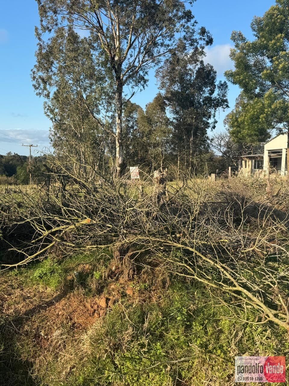 Lote/Terreno em Eldorado do Sul - Centro Novo