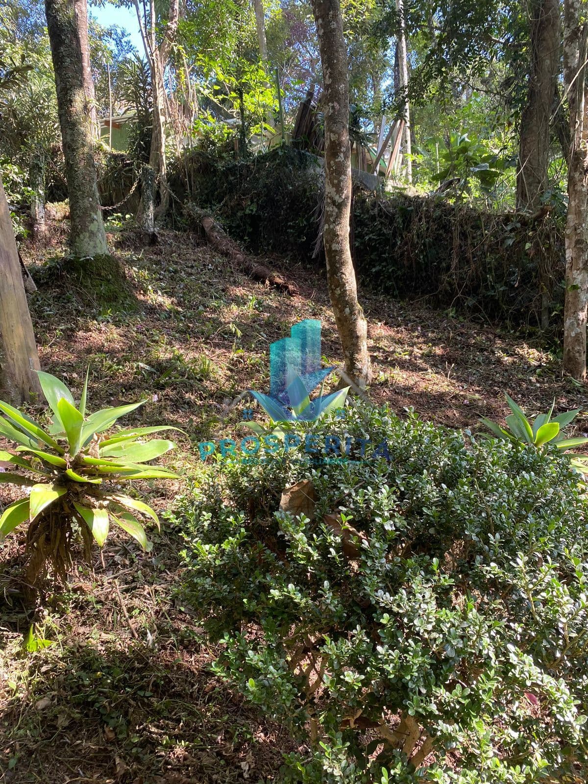 Terreno 810 m² a venda R$120.000,00 Recanto Verde-Cotia/SP