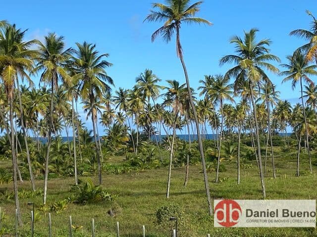 Apartamento Alto Padrão - Iberostate - Mar Azul - Linda Unidade