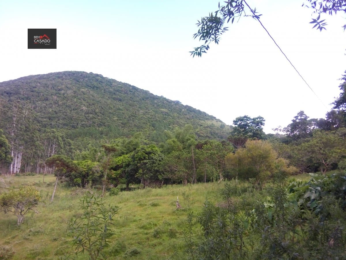 Terreno para Venda em São João do Rio Vermelho Florianópolis-SC