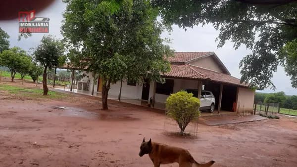 Fazenda/Sítios/Chácaras em Rubinéia - Centro