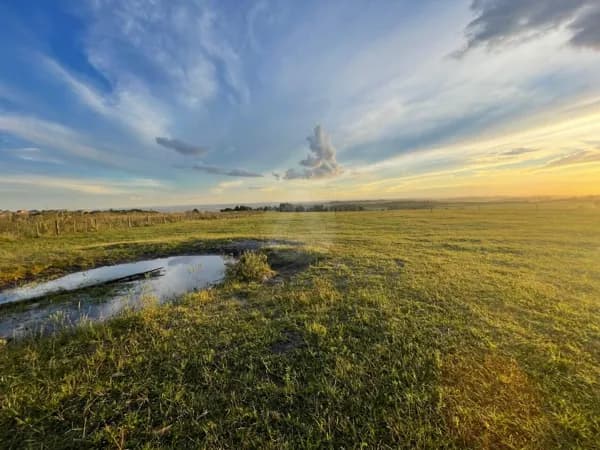 Fazenda/Sítios/Chácaras em Balsa Nova - Centro