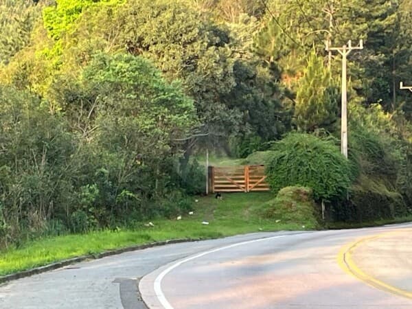 Terreno Lote nas margens do rio Assungui Campo Largo – PR