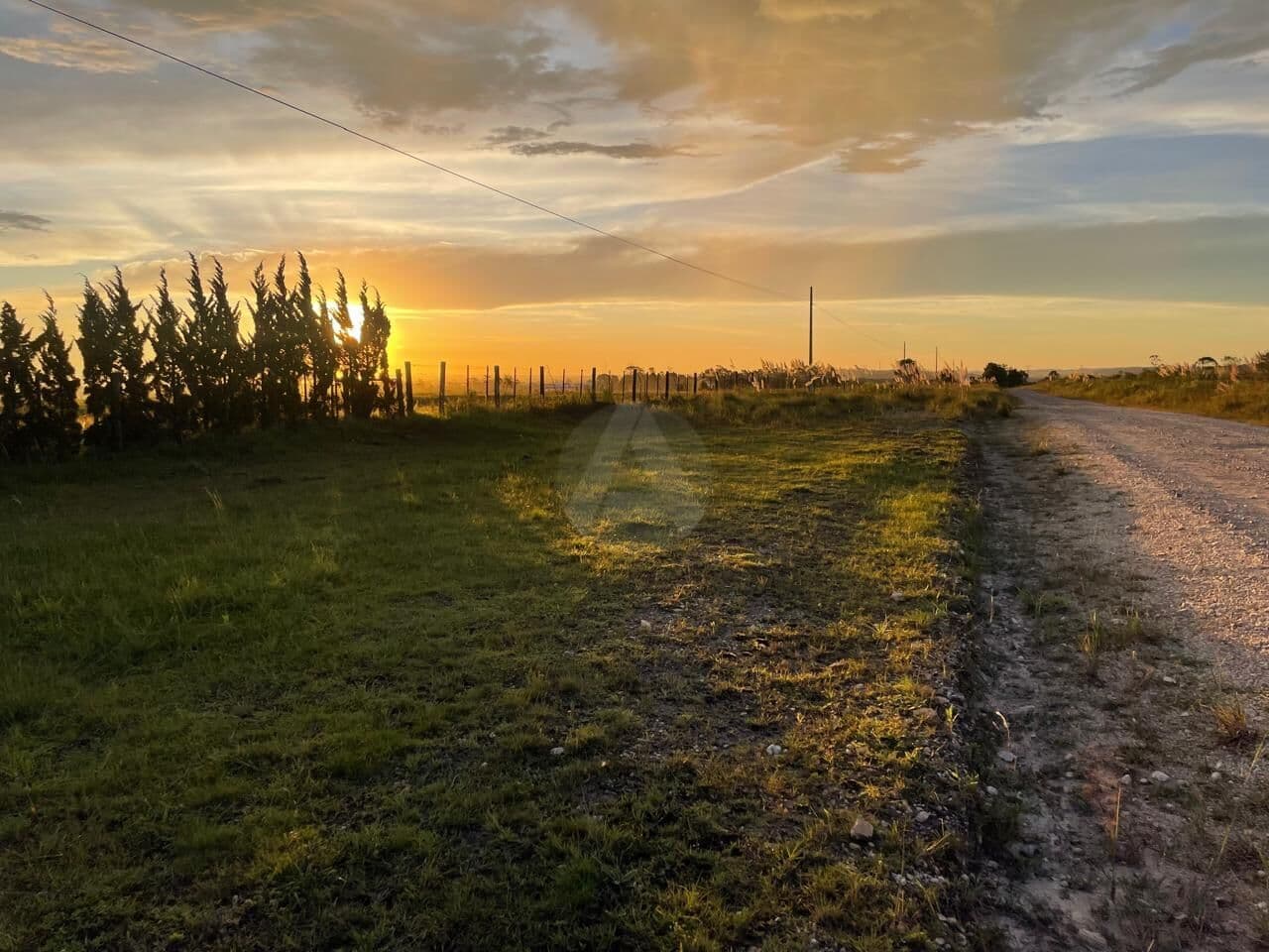 Fazenda/Sítios/Chácaras em Balsa Nova - Centro