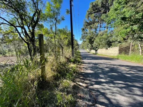 Lote/Terreno em Campo Largo - Ferraria