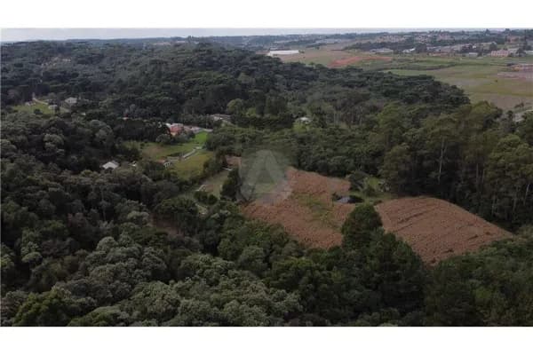 Lote/Terreno em Campo Largo - Itaqui de Cima