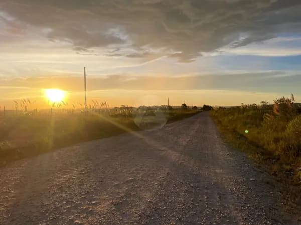 Fazenda/Sítios/Chácaras em Balsa Nova - Centro