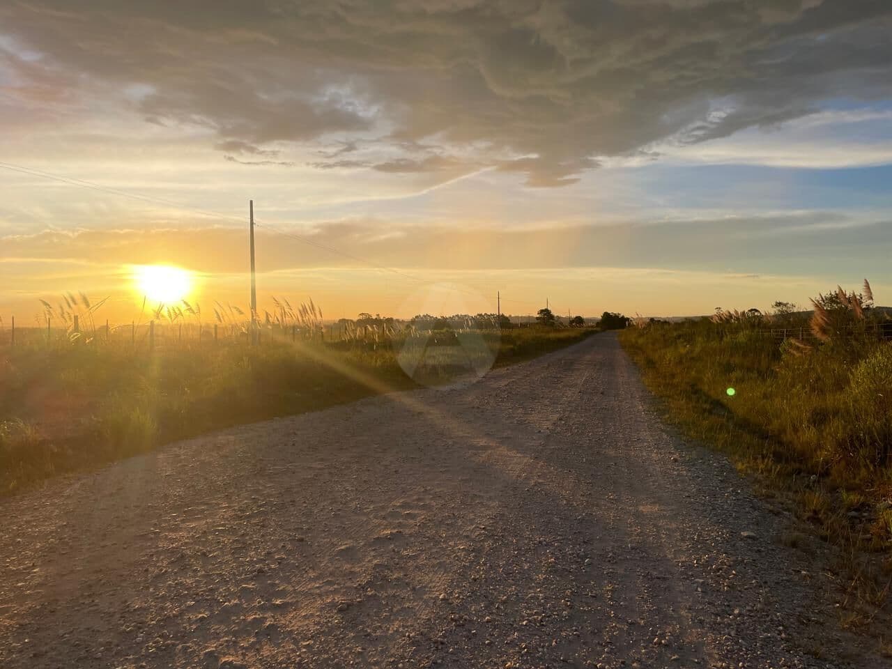 Fazenda/Sítios/Chácaras em Balsa Nova - Centro