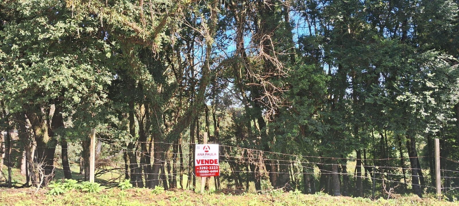 Terreno em Jardim Florestal, Campo Largo/PR