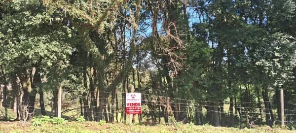 Terreno em Jardim Florestal, Campo Largo/PR