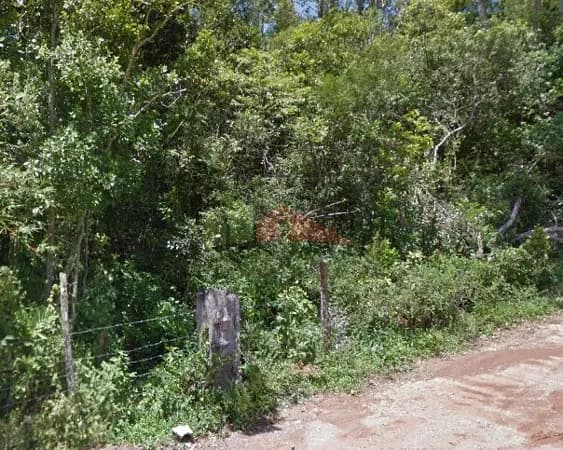 Terreno à venda bairro Ratones, Florianópolis/SC