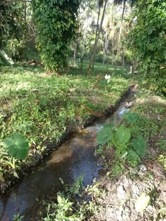 REF. 294 Á venda terreno no bairro Ratones, Florianópolis/SC