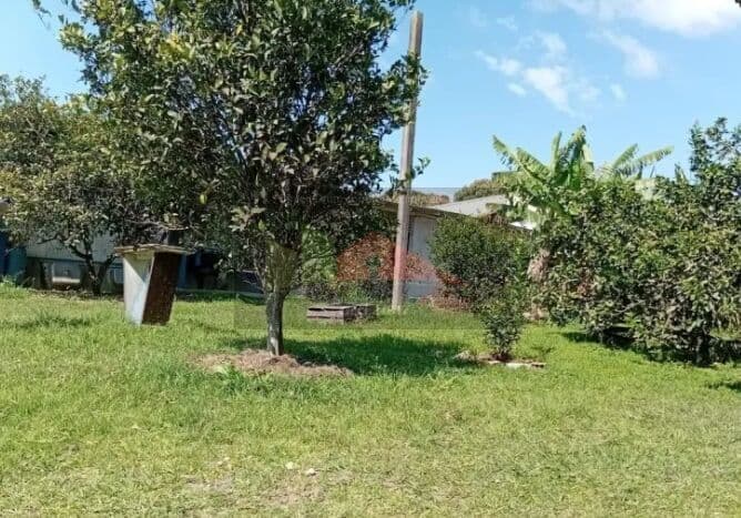 Terreno no bairro do Ratones, Florianópolis/SC