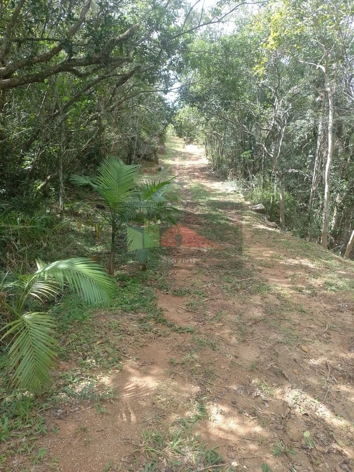REF. 338 Terreno disponível para venda, Sítio!