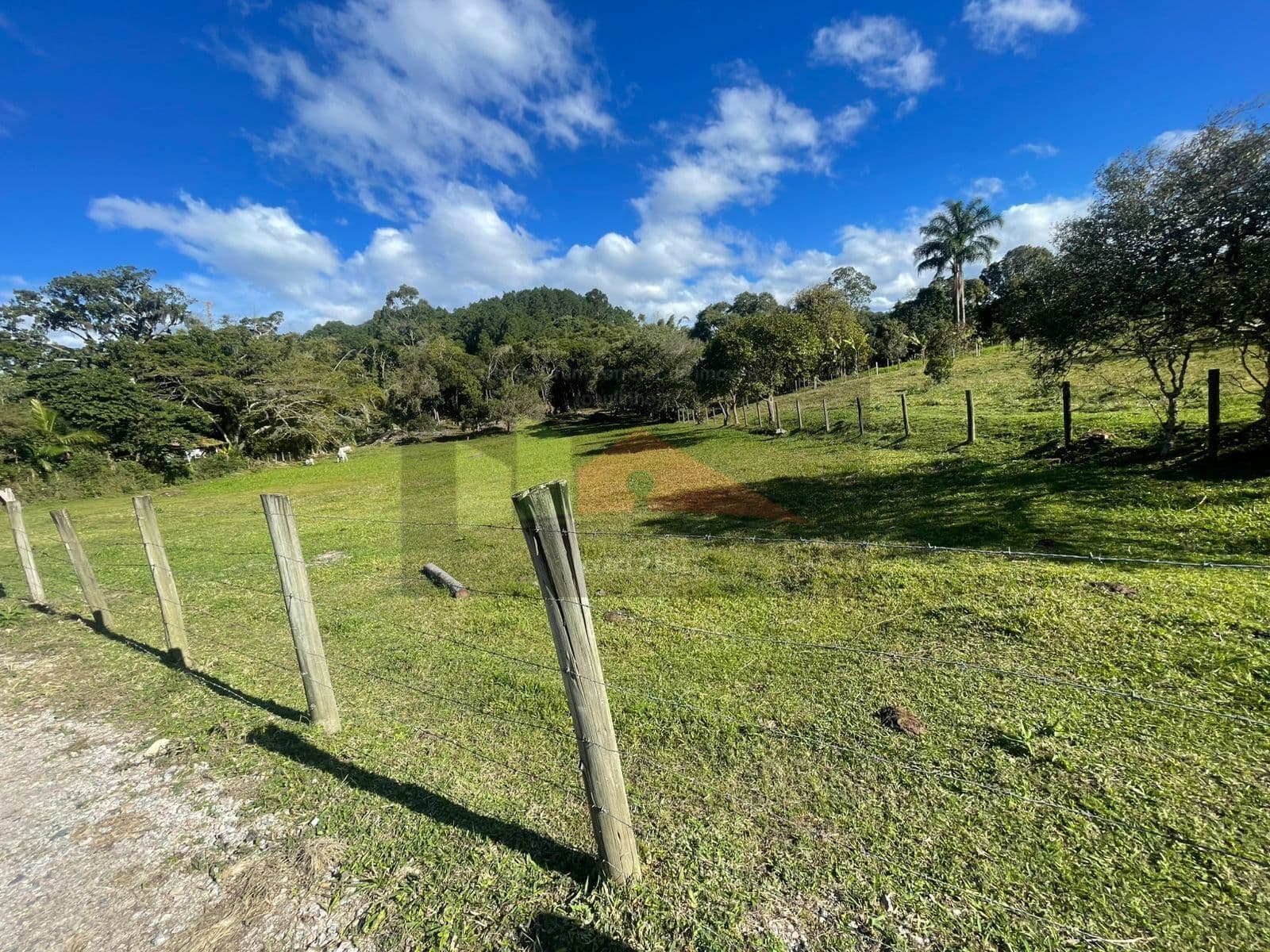 Terreno à venda no bairro Ratones, Florianópolis/SC.