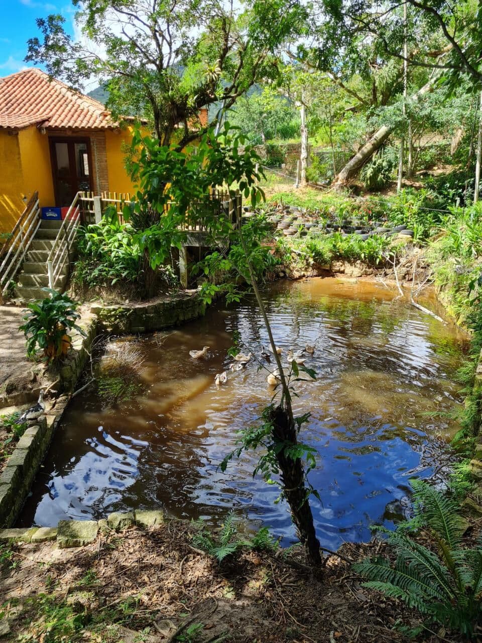 Sítio disponível para você, confira e agende já a sua visita!