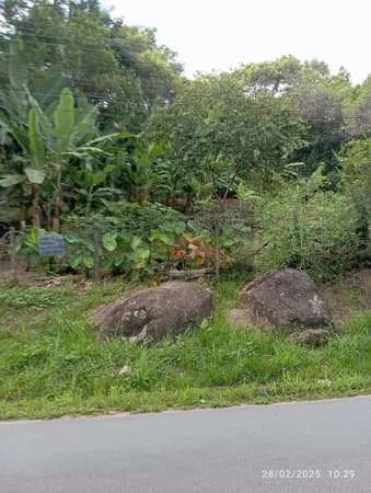 REF. 380 Terreno à venda no bairro Ratones