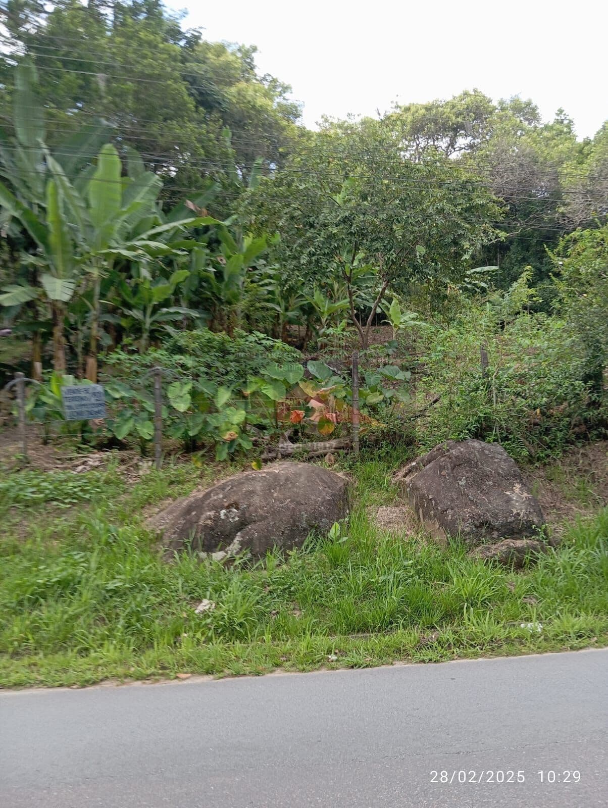REF. 380 Terreno à venda no bairro Ratones
