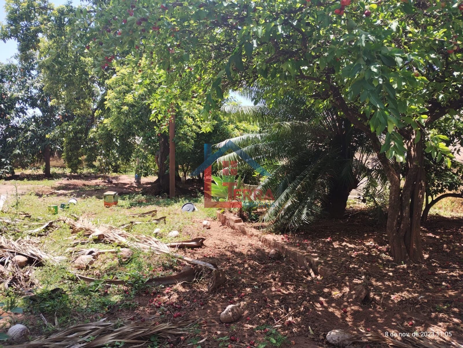 Lote/Terreno em Catanduva - Higienópolis