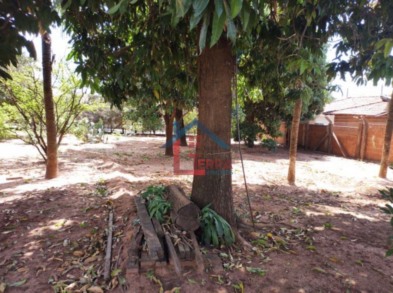 Lote/Terreno em Pindorama - Centro