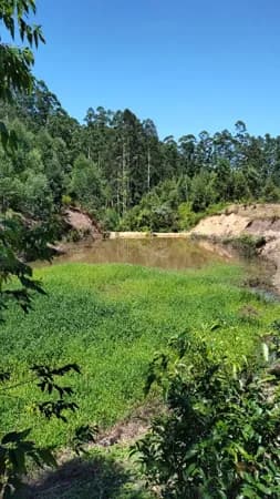 Lote/Terreno em Rio do Sul - Barra do Trombudo