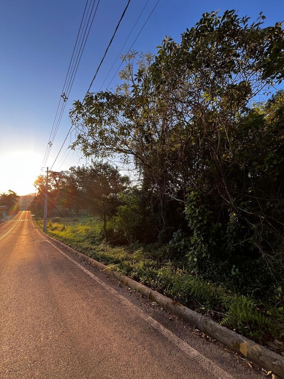 Lote/Terreno em Rio do Sul - Laranjeiras
