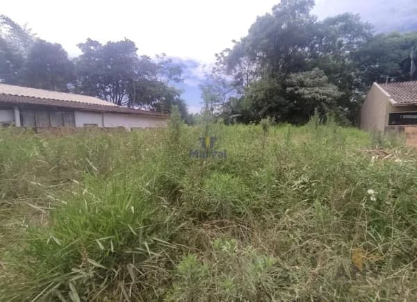 Lote/Terreno em Lontras - Salto Pilão