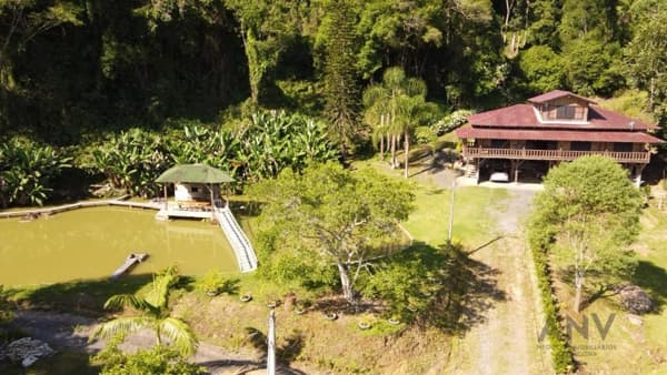 Fazenda/Sítios/Chácaras em Laurentino - Fruteira