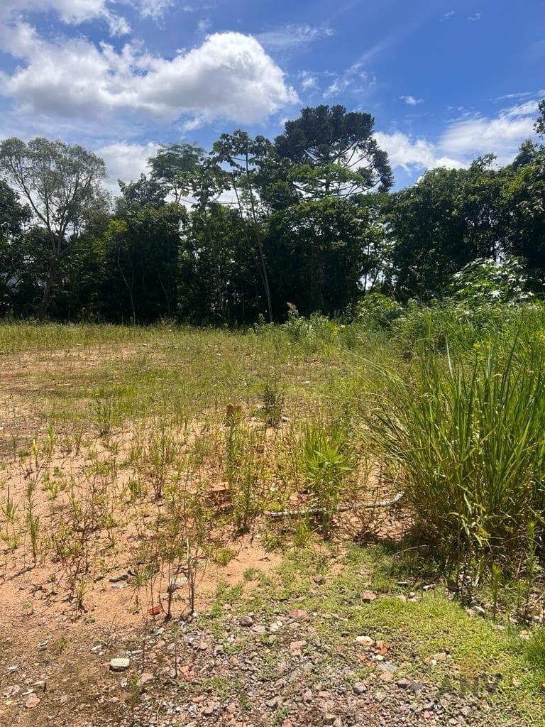 TERRENO RUA OLINDA - FORA DA AREA DE ENCHENTE - PROXIMO AO RESIDENCIAL DE MURANO - RIO DO SUL/SC