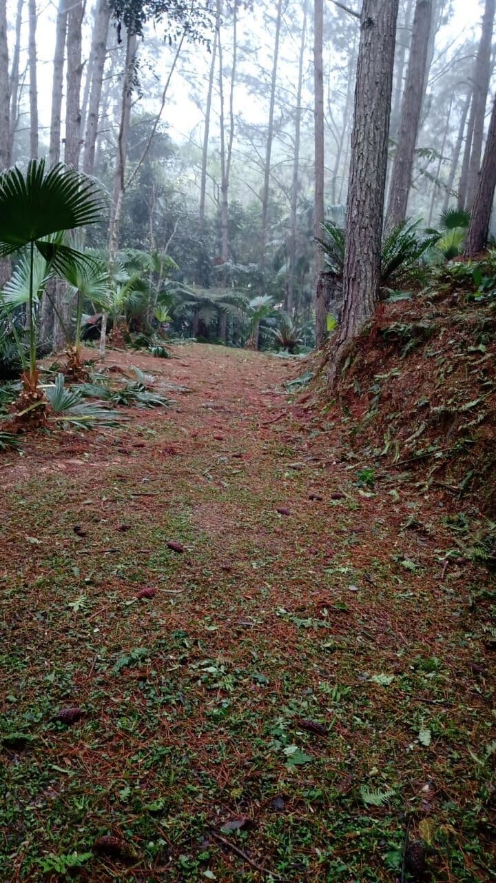 Lote/Terreno em Rio do Sul - Sumaré