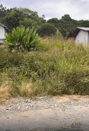 Lote/Terreno em Rio do Sul - Budag