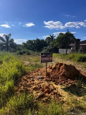 Lote/Terreno em Agronômica - Regis