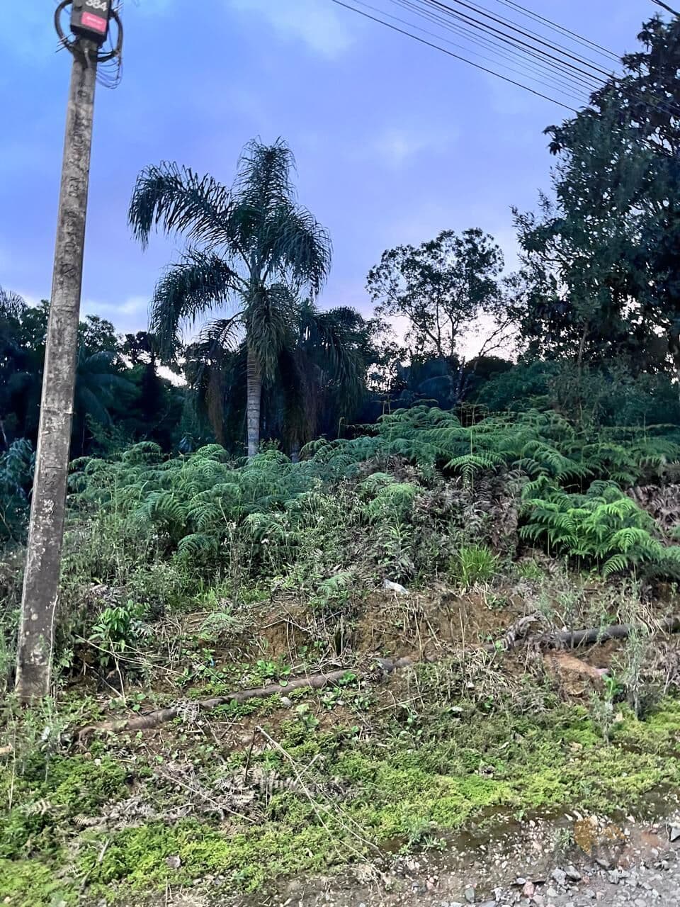 Lote/Terreno em Rio do Sul - Progresso