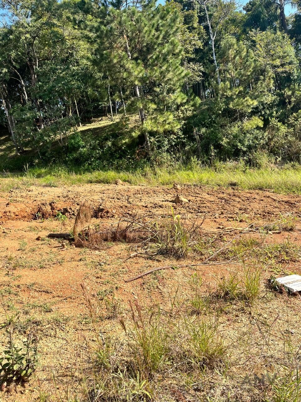 Lote/Terreno em Rio do Sul - Budag