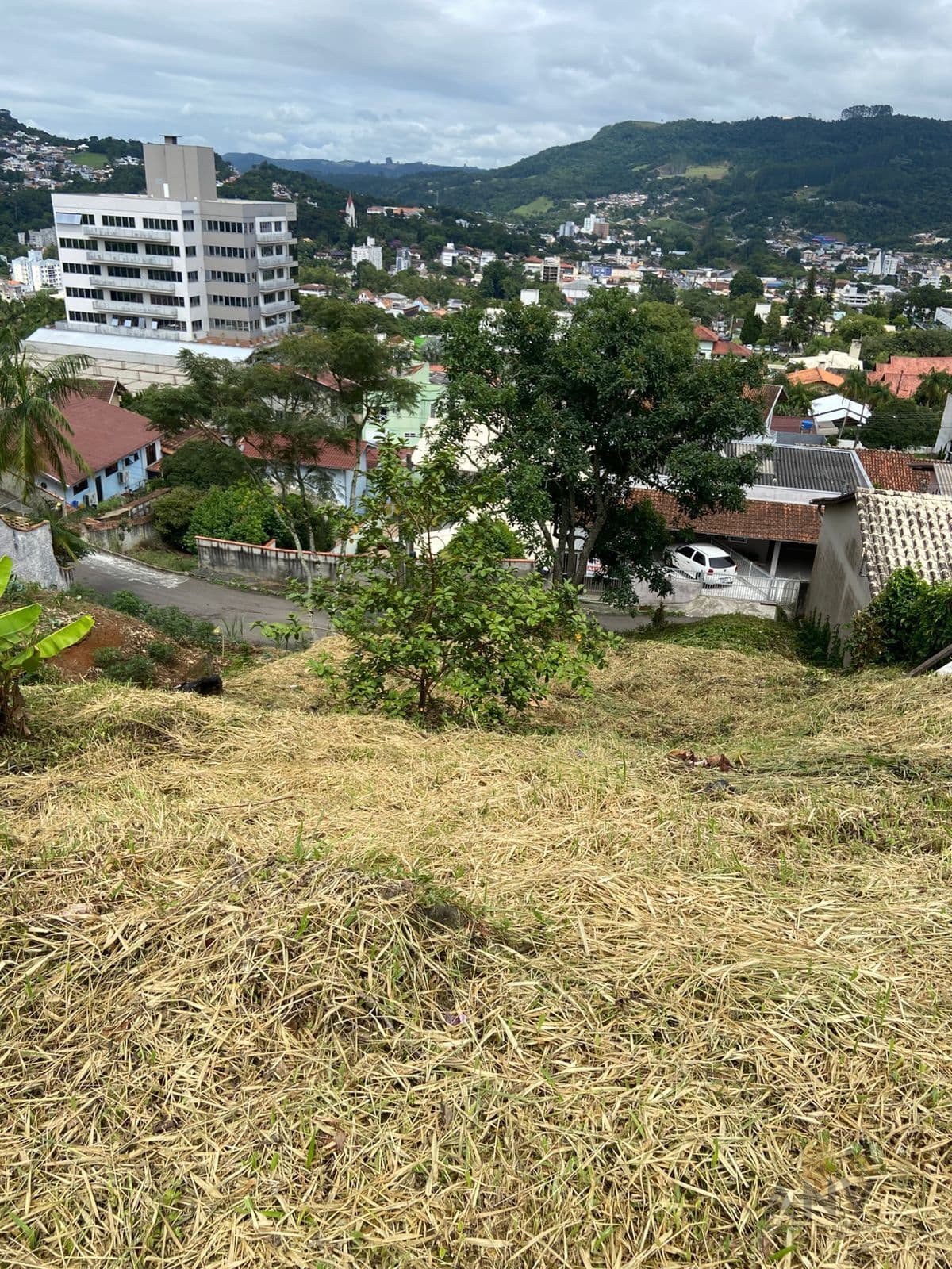 Lote/Terreno em Rio do Sul - Eugênio Schneider
