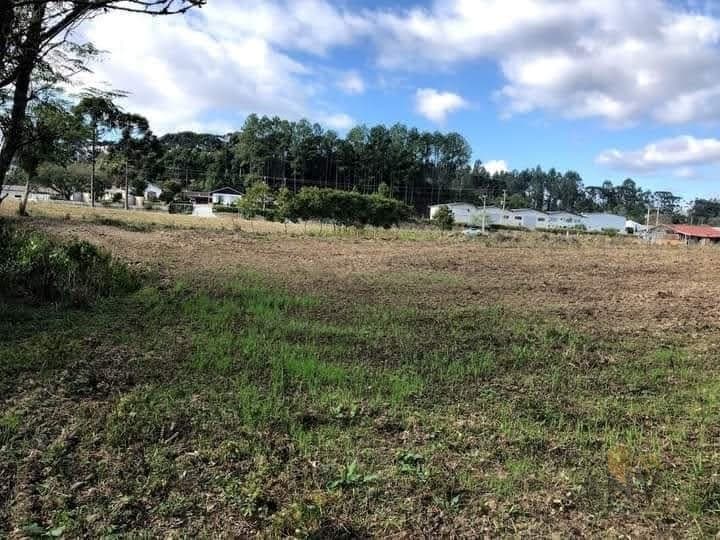 Lote/Terreno em Agrolândia - Centro