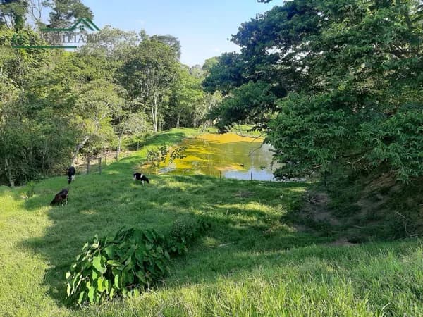 Fazenda/Sítios/Chácaras em Passos - Rodovia MG-050