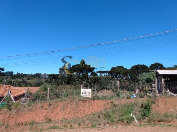 Terreno Morro Alto