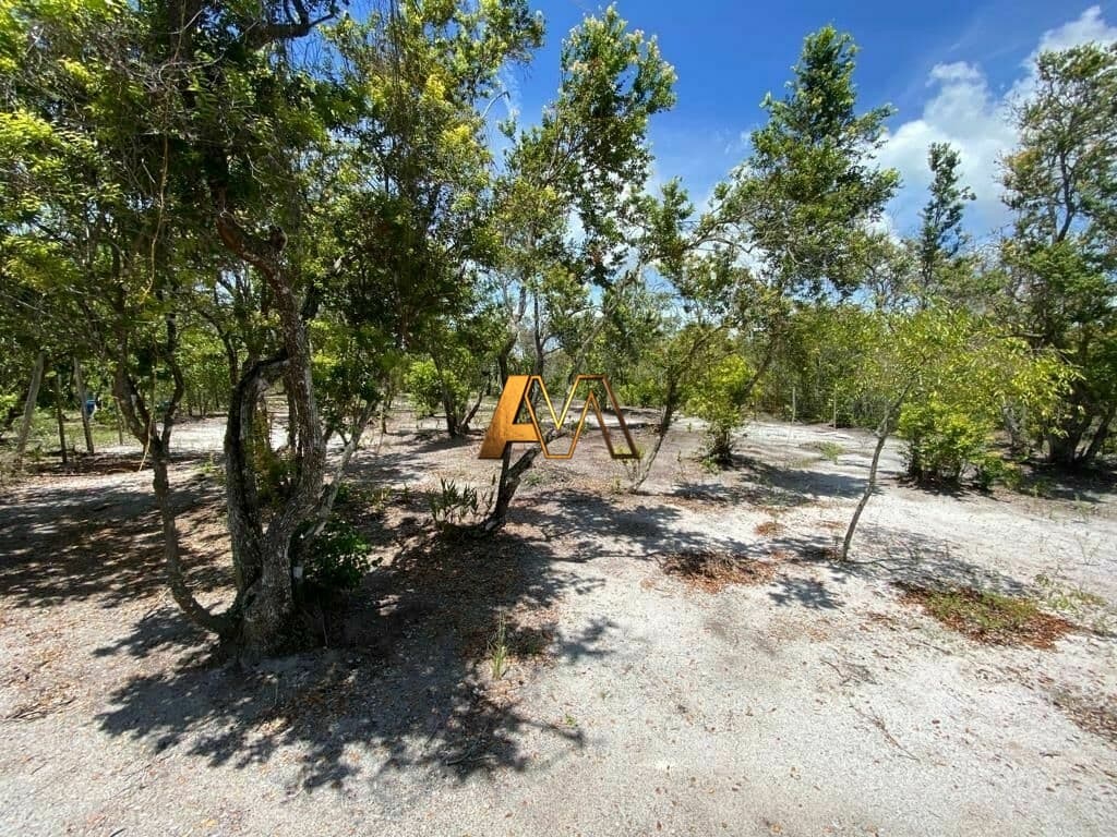 TERRENO EM MORERÉ - ILHA BOIPEBA BAHIA