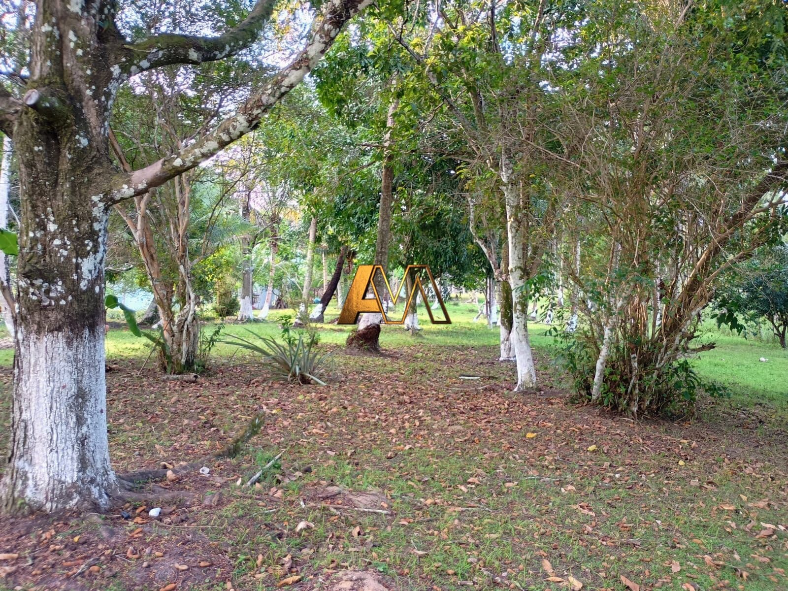 Fazenda/Sítios/Chácaras em Camaçari - Coqueiros de Monte Gordo (Monte Gordo)