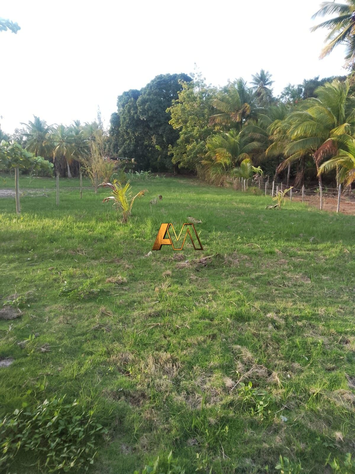 TERRENO AMPLO BEIRA MAR EM CAMAMU
