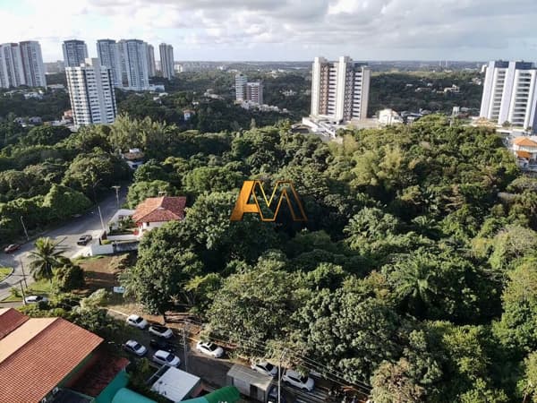 TERRENO EM PATAMARES