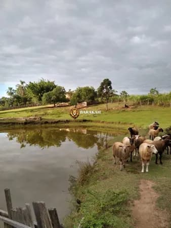 Terreno à venda no bairro Monte Belo - Gravataí/RS