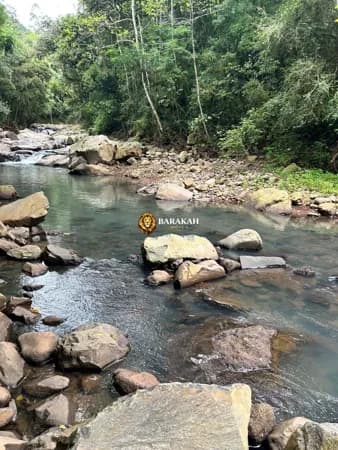 Sítio à venda no bairro Santa Lúcia do Piaí - Caxias do Sul/RS