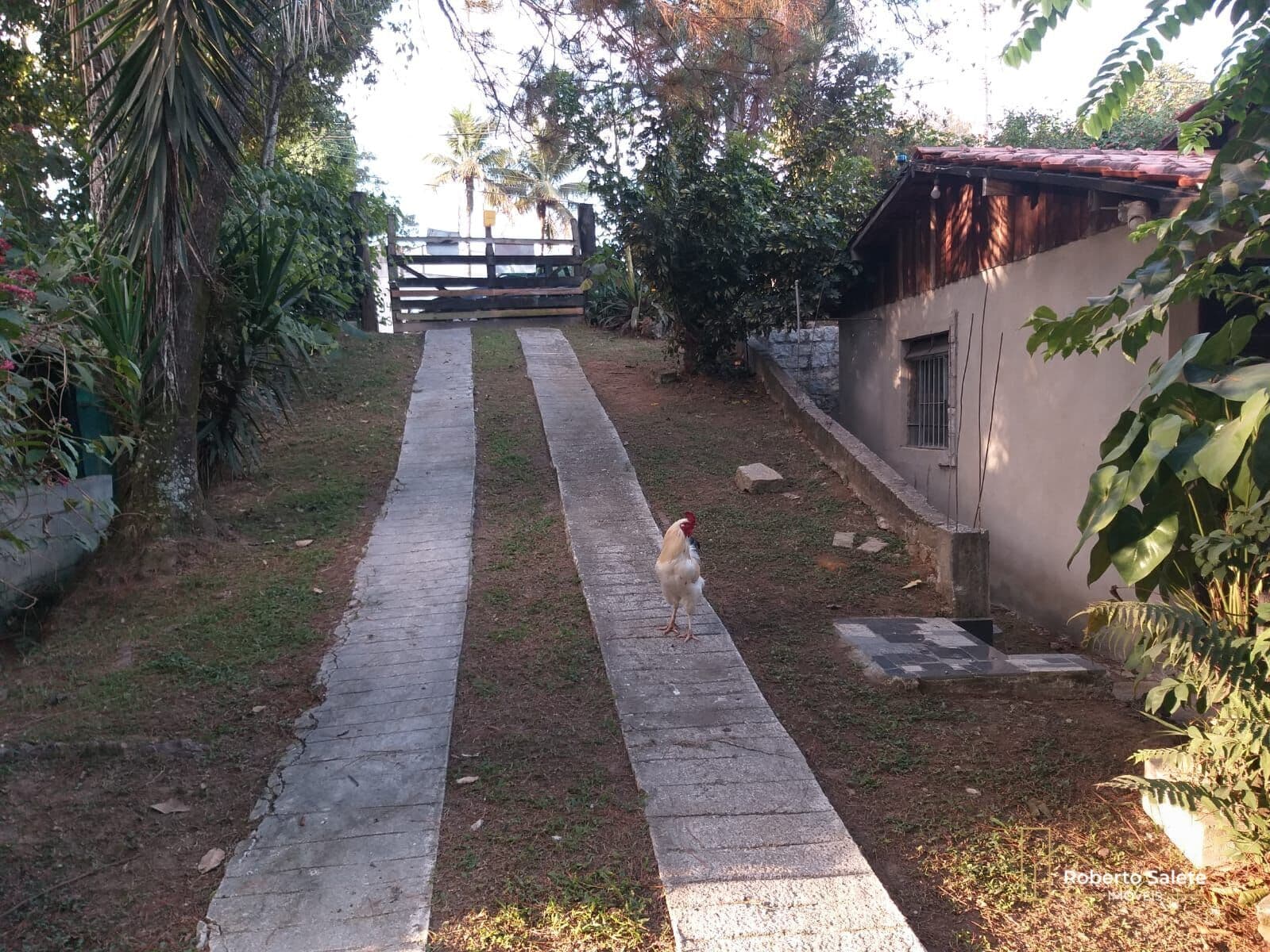 Chácara na Itapuca