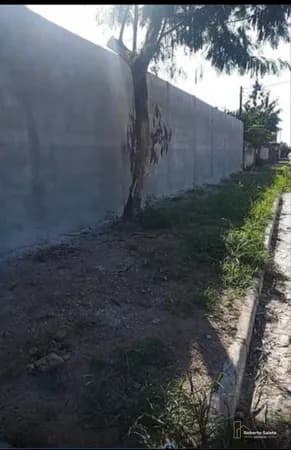 Galpão à Venda no Bairro Campo Belo