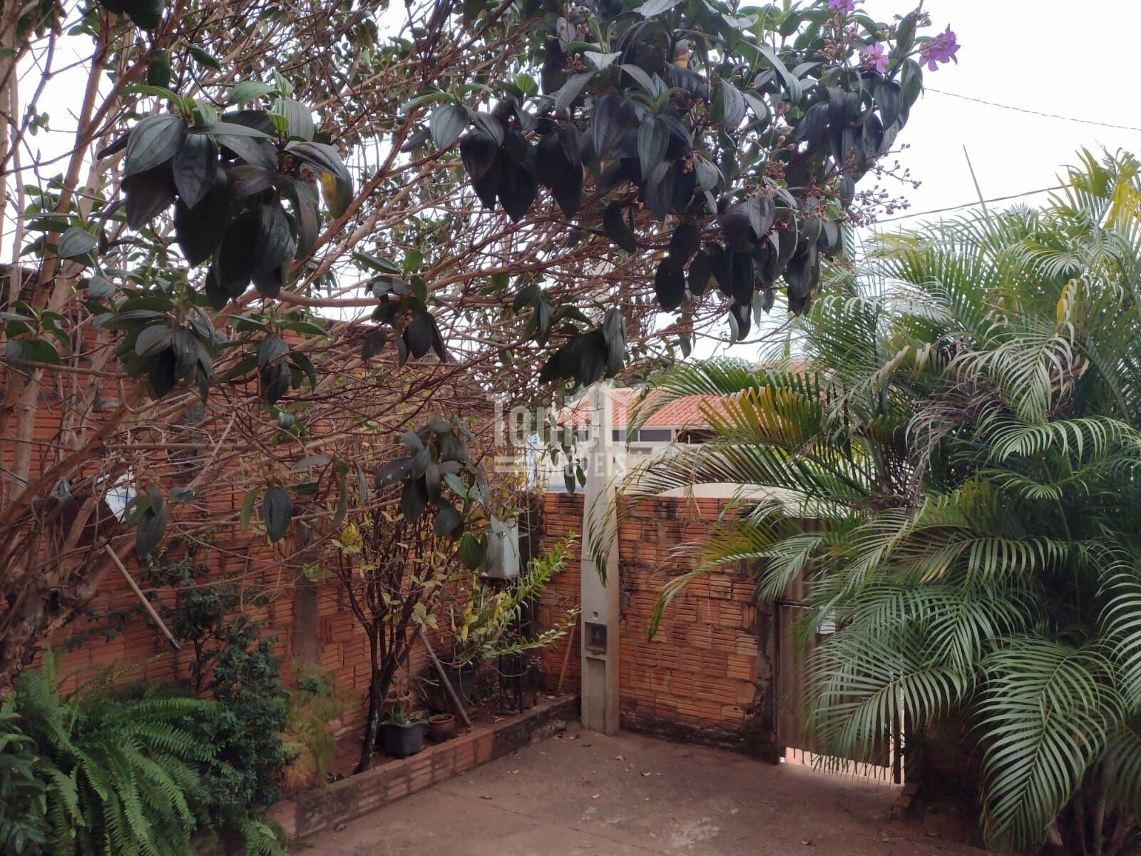 Casa em Bebedouro - Parque Residencial Santo Antônio