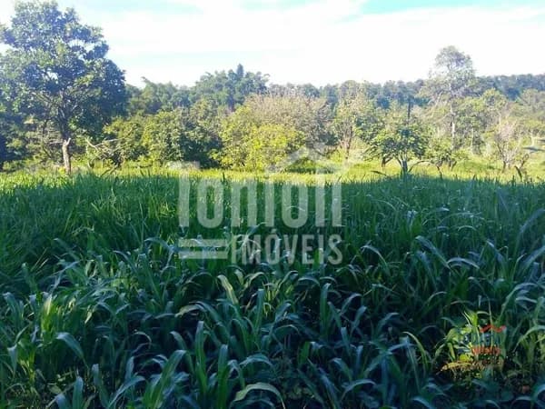 Sítio para Venda em Centro Cajobi-SP